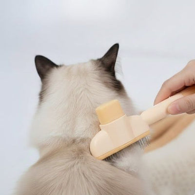 Groomer Brush - Klovyn™